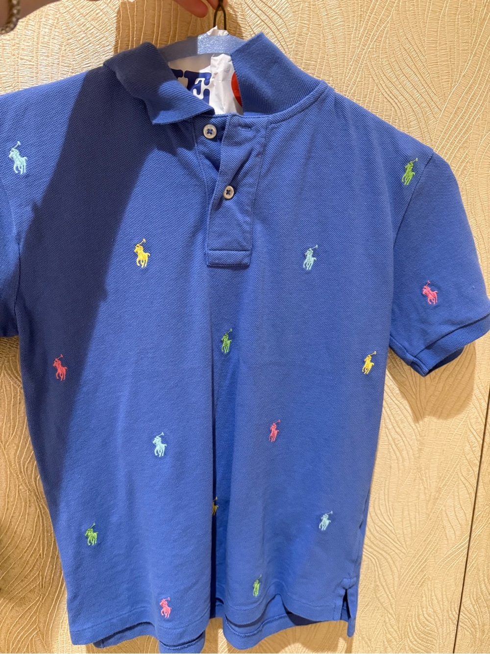Polo by Ralph Lauren Blue Kids Polo with Multicolor Pony Embroidery